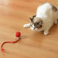 Şarjlı Otomatik Hareketli Kedi Köpek İçin 360 Derece Dönen İnteraktif Akıllı Oyun Topu